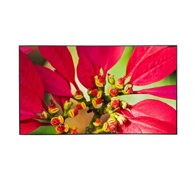 Tela de projeção de grade preta