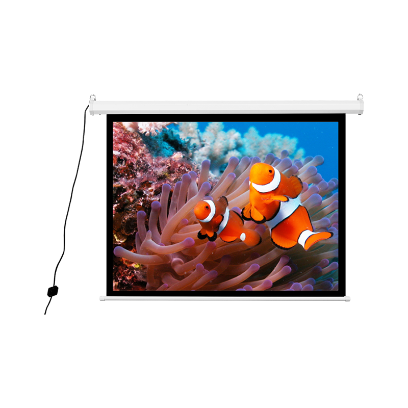 SG-LE8 Tela elétrica clássica