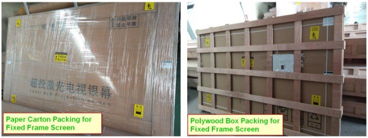 Pacote de tela Fresnel Projector